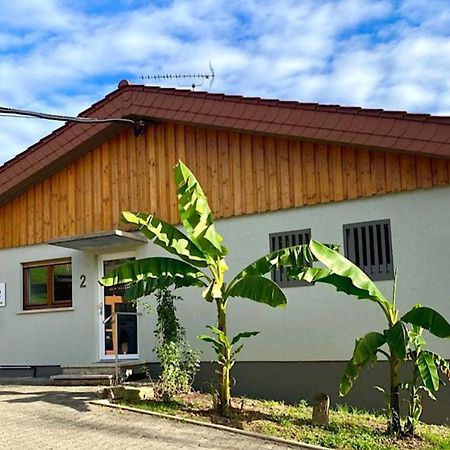Pension Am Hohberghof Dielheim Zewnętrze zdjęcie