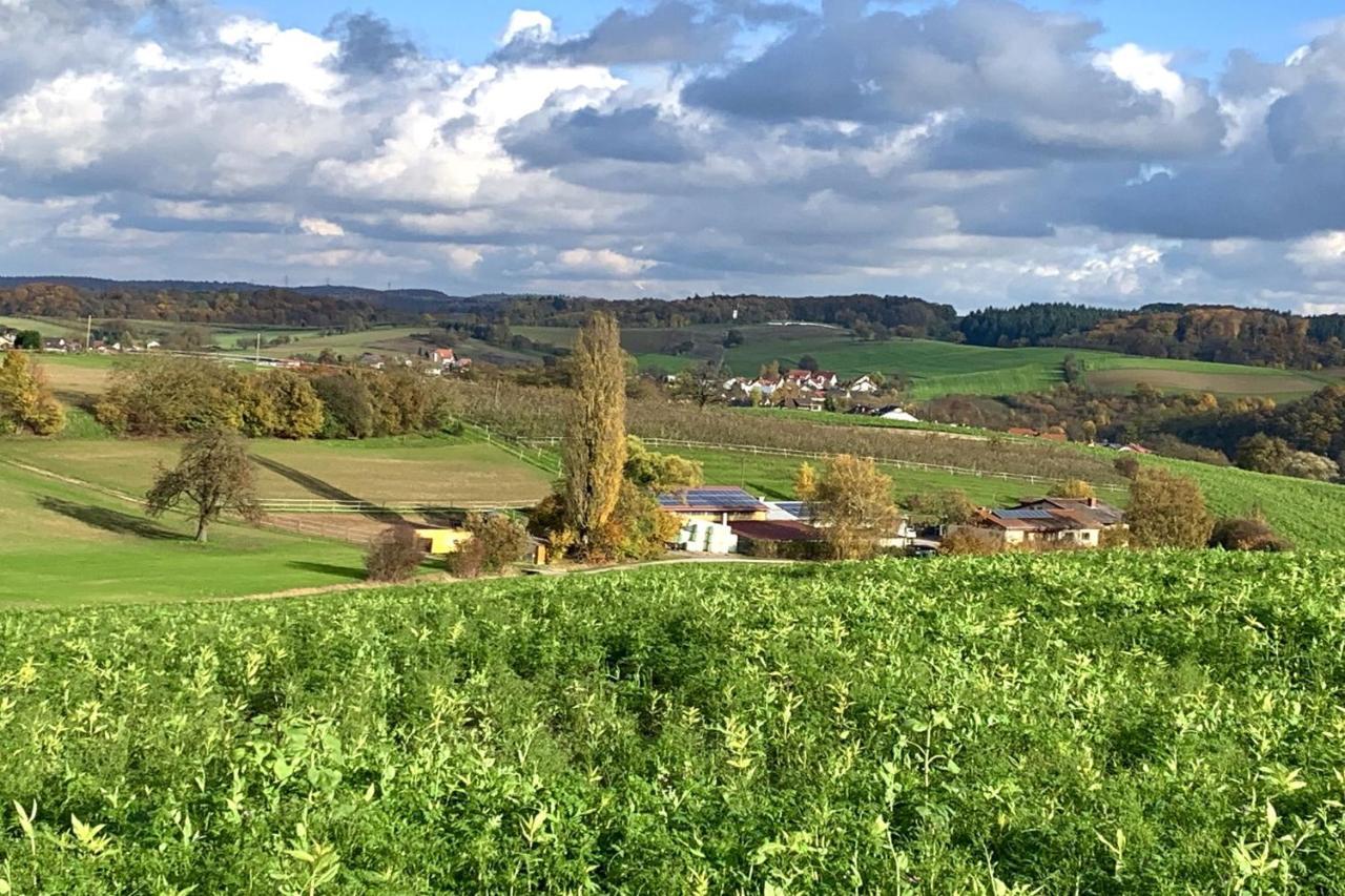 Pension Am Hohberghof Dielheim Zewnętrze zdjęcie
